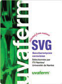 Dry Wine Yeast - Uvaferm SVG (80 g)