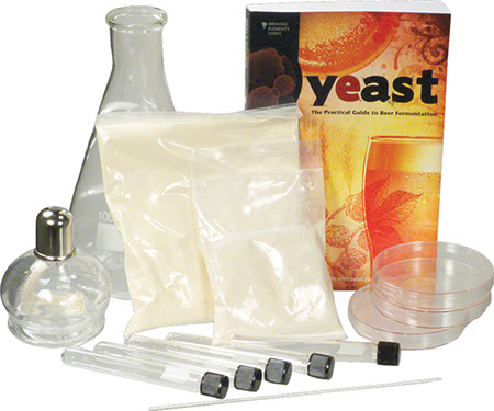 Yeast Master - Intermediate