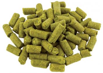 Santiam Pellet Hops 1 oz