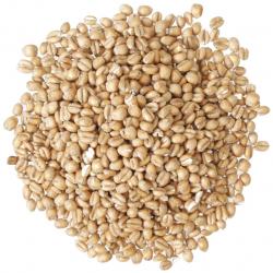 Torrified Wheat Malt (1 lb)